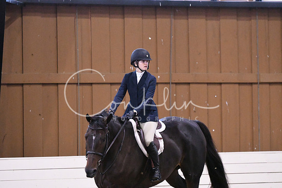 HSM_1519