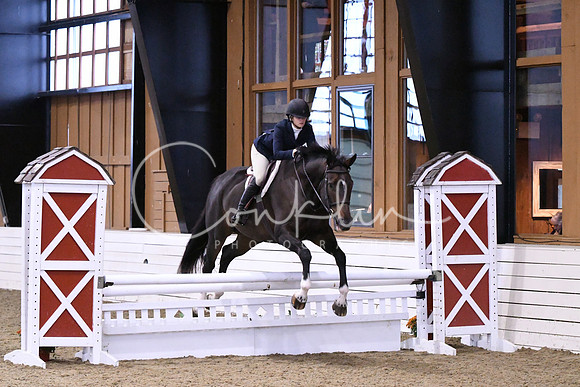 HSM_1523