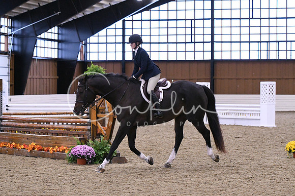 HSM_1531