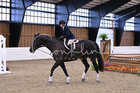 HSM_1533