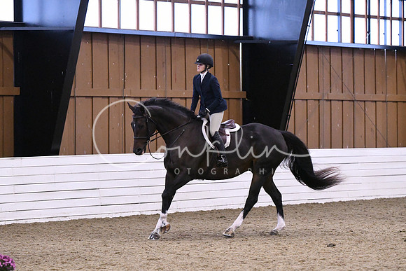HSM_1517