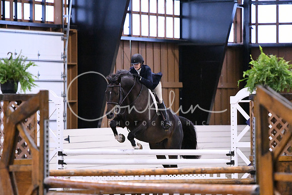 HSM_1585