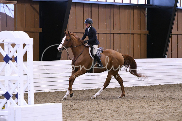HSM_0598