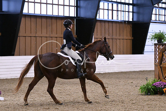 HSM_2073