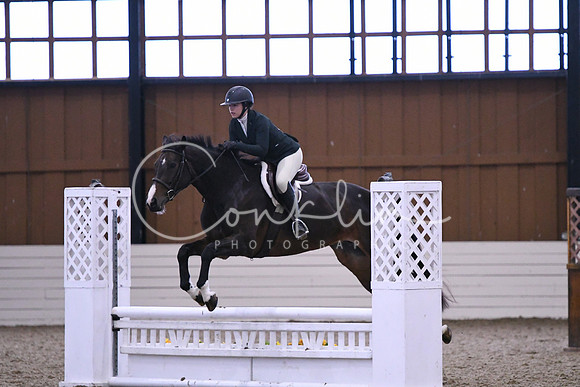 HSM_1803
