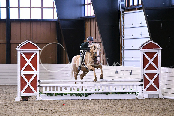 HSM_0520