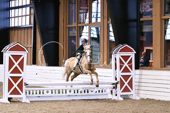 HSM_0522