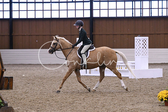 HSM_0531