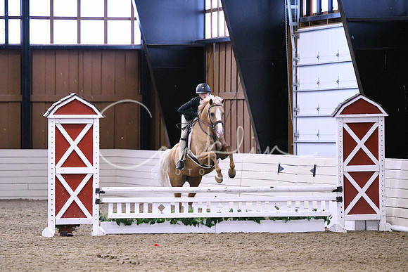 HSM_0519