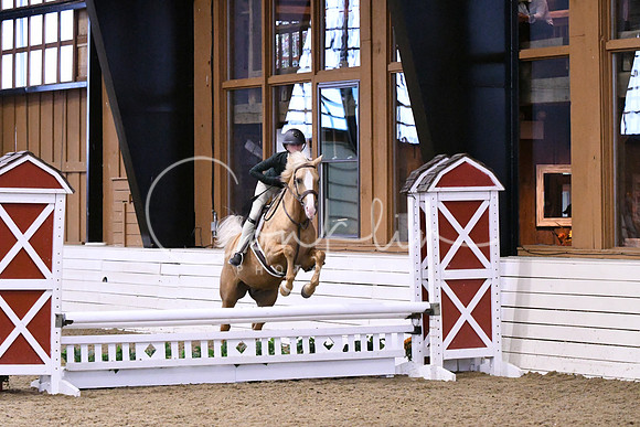 HSM_0561