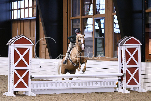 HSM_1287