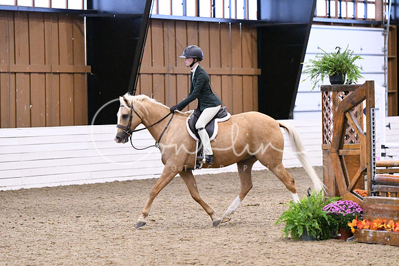 HSM_1296
