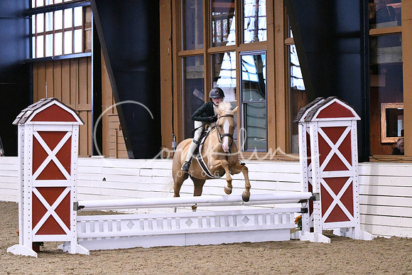 HSM_1363