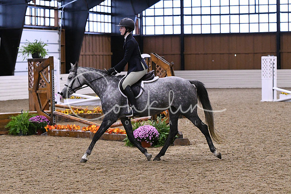 HSM_9800