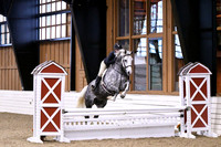 HSM_1673