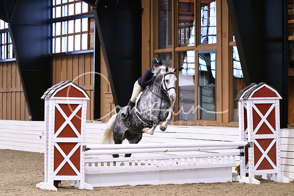 HSM_1673