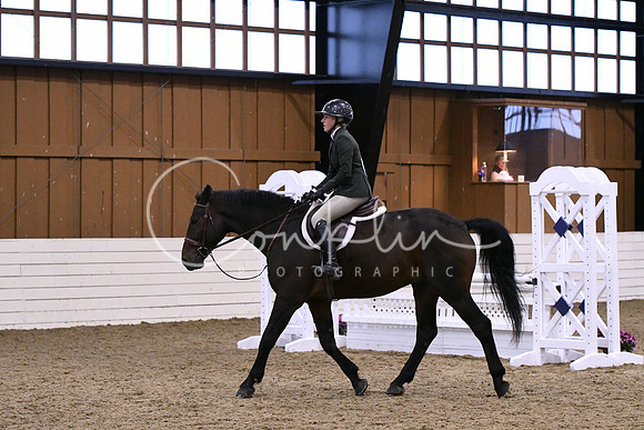 HSM_1663