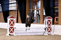 HSM_1650