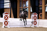 HSM_1653