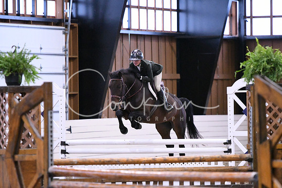 HSM_1739