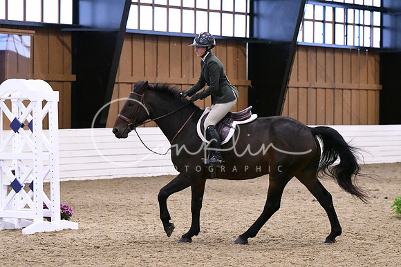 HSM_1731