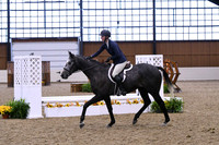 HSM_0291