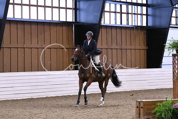 HSM_0387