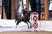 HSM_0954