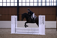 HSM_0947