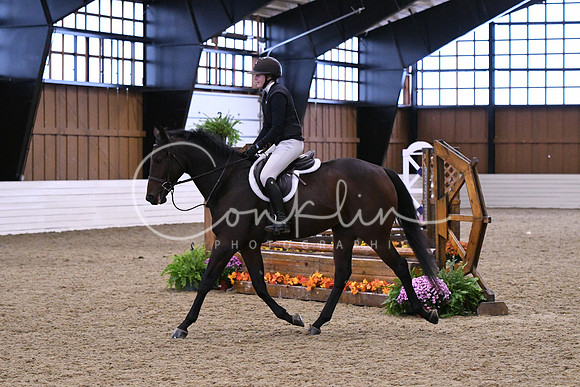 HSM_0995