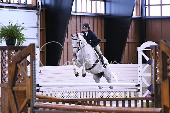 HSM_0695