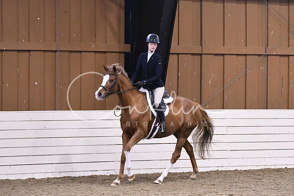 HSM_0931