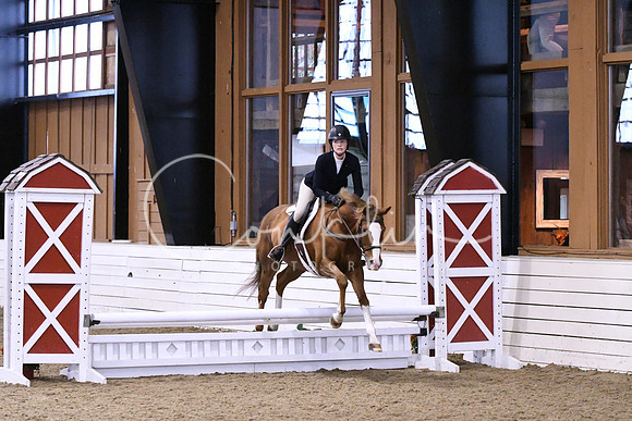HSM_0935