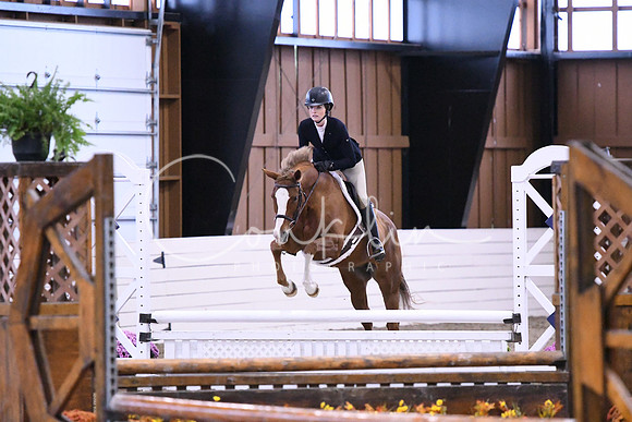 HSM_0937