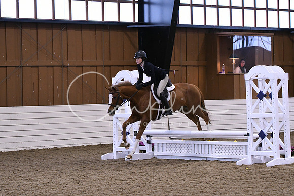 HSM_0939