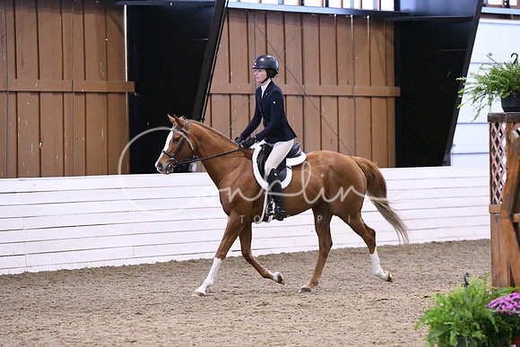 HSM_0941
