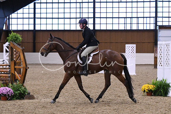 HSM_1553