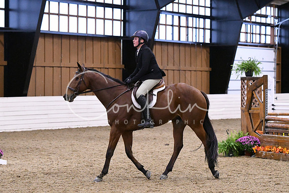 HSM_1611