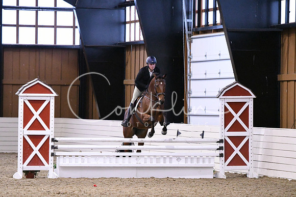 HSM_1597