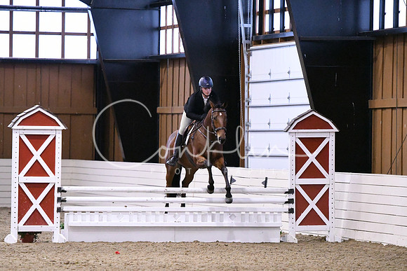 HSM_1598