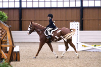 HSM_2463