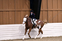 HSM_2466