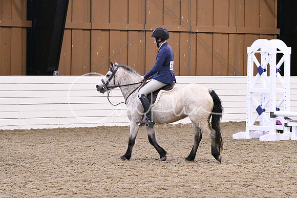 HSM_0313