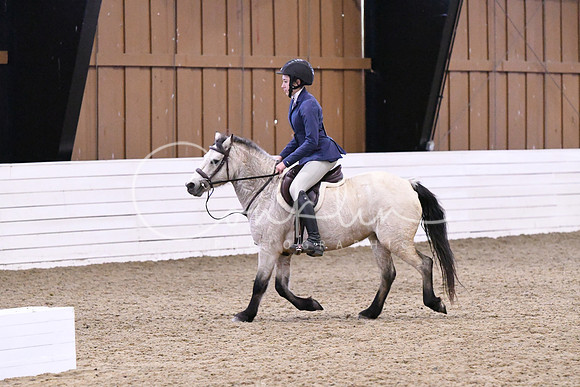 HSM_0373