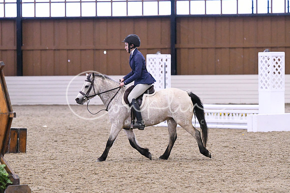 HSM_0372