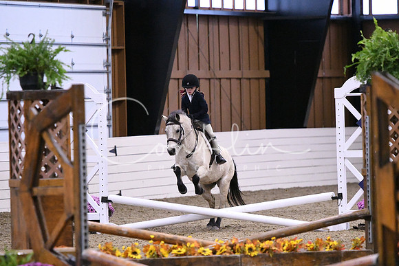 HSM_2509
