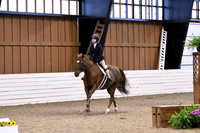 HSM_2621