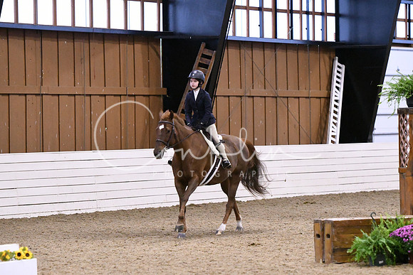 HSM_2621