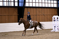 HSM_2624