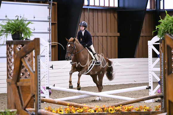 HSM_2626